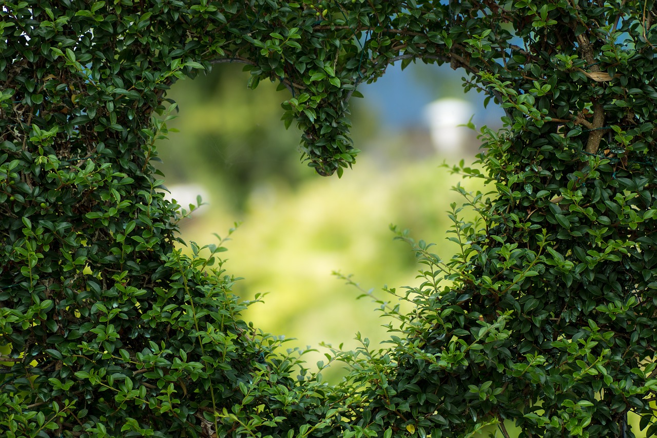 heart, leaves, 4k wallpaper-1192662.jpg